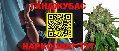 твердый Сланцы