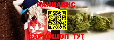 твердый Сланцы